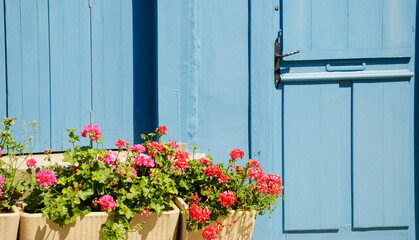 Fototapeta na wymiar A wooden house door and geranium flowers in the boxes in sunny day. Brittany, France.
