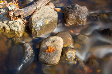 Long exposure, blurred motion river in the forest. Fall landscape. Lanaudiere, Quebec, Canada