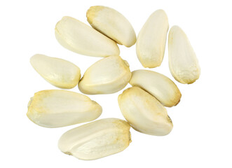 Whole Safflower Seeds (Carthamus Tinctorius). Top View. Source of Oil. Isolated on White.