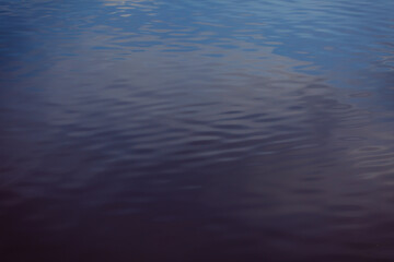 Coast pond. Water surface. Calm. Sunny weather. River bank. Textured background.