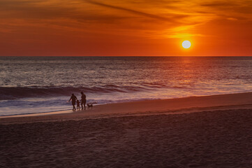 familia de vacaciones en la playa con mascota al atardecer