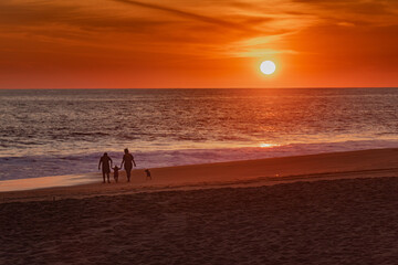 familia de vacaciones en la playa con mascota al atardecer