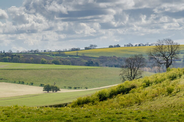 Fototapeta na wymiar landscape in Lincolnshire wolds 
