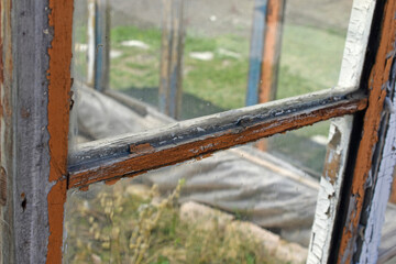 Fototapeta premium An old greenhouse of rotten windows with cracked paint