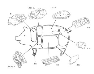 豚肉部位のイラスト-手描きの線画