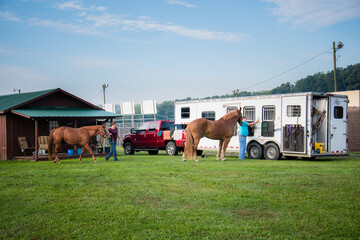 Two brown horses stand tied to horse trailer waiting to go on a trail rider equestrian green grass pasture farm country riding © Jess Yurinko Photo