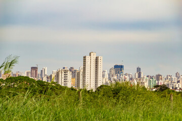 Paisagem urbana da cidade de Goiânia com grama em primeiro plano.