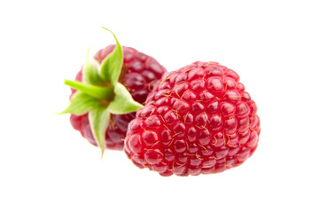 Fresh raspberry fruit isolated on white background. Two red sweet raspberries