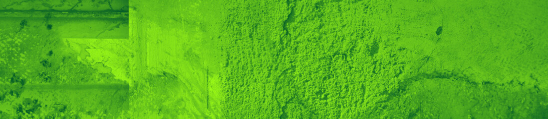 Fototapeta premium abstract green bright color background for design
