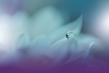 Beautiful macro shot of magic flowers.Border art design.Magic light.Extreme close up macro photography.Conceptual abstract image.Violet and Blue Background.Fantasy Art.Creative Wallpaper.Water Drop.