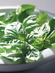 Fruit and vegetable images for the food industry.