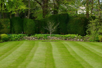 Obraz premium garden lawn