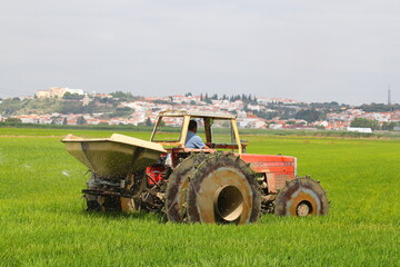 Trator working on rice fields - Fertilizing
