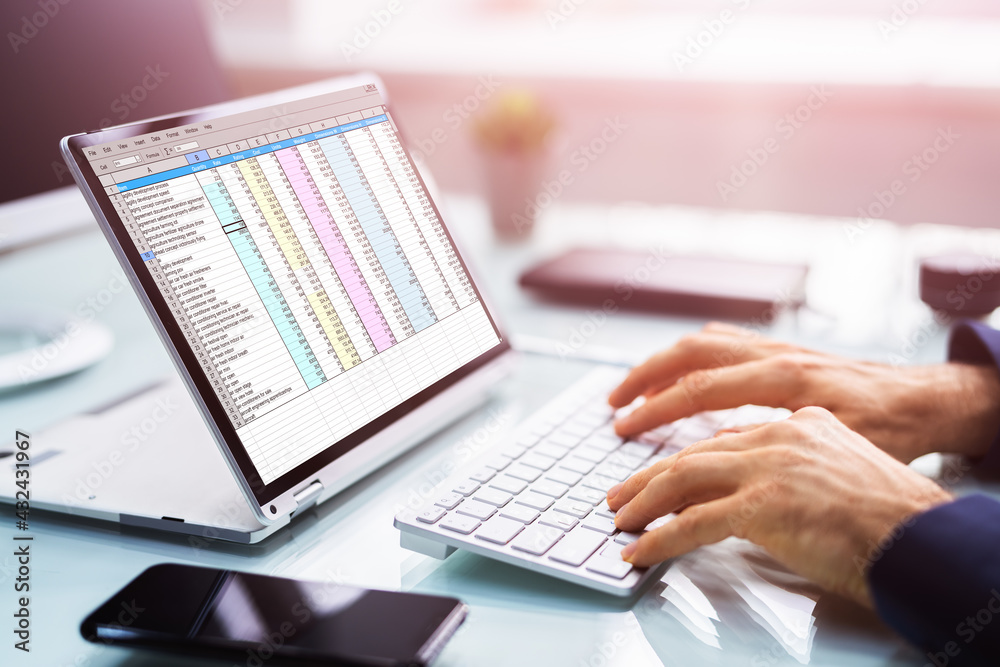 Poster analyst auditor using electronic spreadsheet