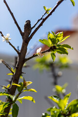 Flowers of all colors in my garden