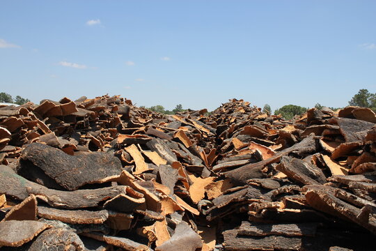 Piles of cork - Natural material from quercus suber - portugal 