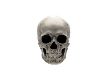 Natural human skull isolated on white background with clipping path
