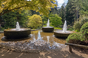 Springbrunnen im Forstbotanischen Garten Köln