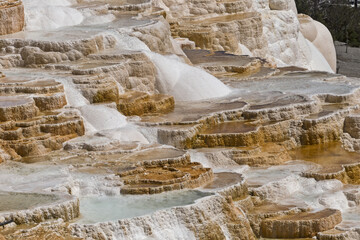 Yellowstone - close-up of Canary Spring, Wyoming, USA