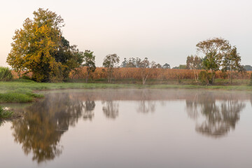 Lake in sunrise with farm fields and fog