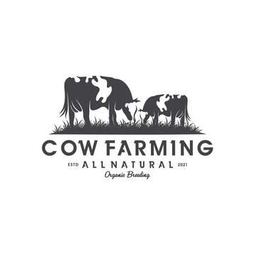 Retro Vintage Cattle Angus Livestock Beef Emblem Label logo design vector
