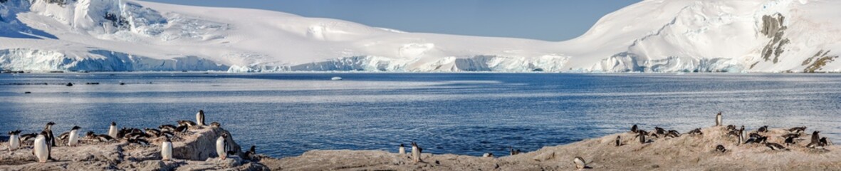 Mikkelsen harbor panorama © expatphotos