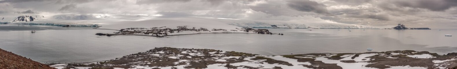 Penguin island panorama