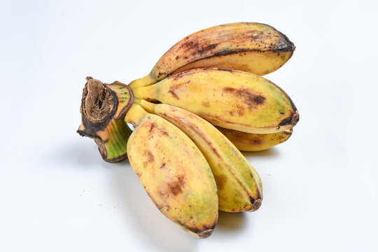Fresh Banana fruit /pisang kepok/saba banana/cardaba bali/nipah banan isolated on white background 