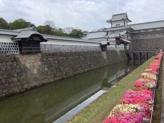 Fototapeta premium Kanazawa Castle in early summer when azaleas bloom