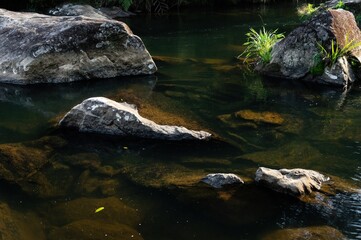 Fototapeta na wymiar Crystal clear water current of Paraibuna river flowing around rock formations in a calm section of the river that runs in the middle of Sea Ridge dense jungle in Cunha, Sao Paulo - Brazil.