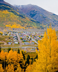 Obraz premium Silverton Colorado surrounded by gold and orange autumn leafed aspen trees on a foggy fall day in San Juan County, Colorado