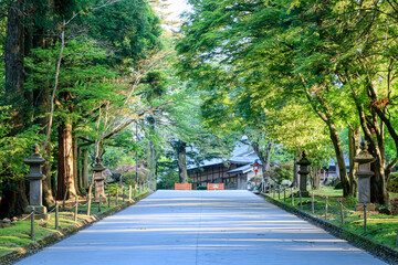 霧島神宮　参道　鹿児島県霧島市　Kirishima Jingu Approach Kagoshima-ken Kirishima city