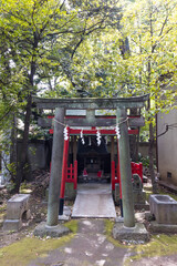 (東京都ｰ都市風景)赤坂氷川神社の風景３