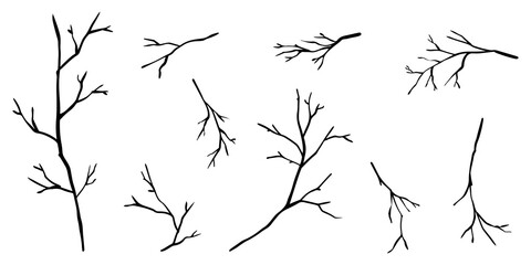doodle silhouettes of the branch of trees isolated on white background.vector illustration.