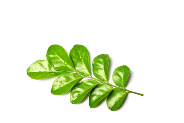 peas isolated on white background