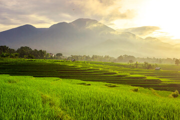 The beauty of the morning on the green rice terraces with the sun rising over the beautiful...