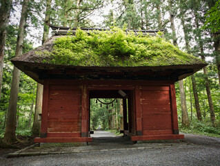 戸隠神社奥社の杜　随神門
