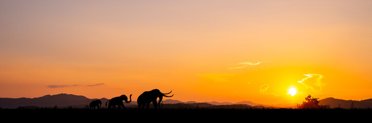 Silhouette of African safari scene with animals.sunset background landscape scene.Dark tree on open field dramatic sunrise.Safari theme.
