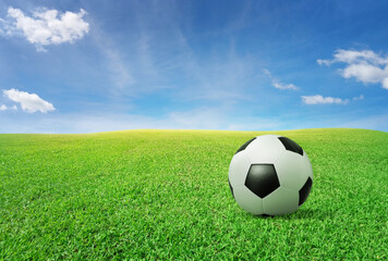 A classic soccer ball, typical black and white pattern, rests on the lawn in the field. Traditional soccer ball on green grass with copy space
