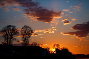 Yellow sun sunset behind the trees.