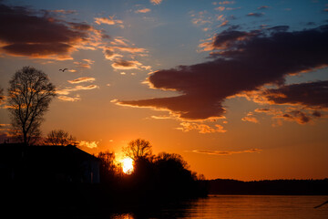 Yellow sun sunset behind the trees.