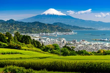 Papier Peint photo autocollant Mont Fuji Japanese green tea plantations from Nihondaira and mt. fuji over sea. 