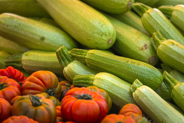 Tomatoes and zucchini background. Fresh Tomatoes and green zucchini variety grown in the shop. Tomatoes for salad, entree and soup