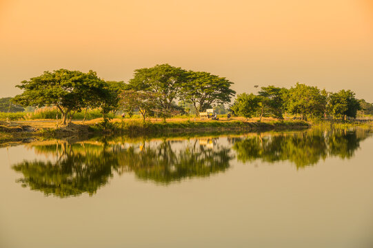 Many Fish on the Bank of Phayao Lake Stock Image - Image of coming