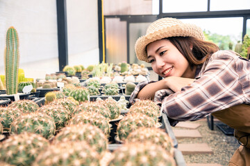 Obraz premium Asian beautiful farmer looking and check young Echinopsis cactus in local farm on plants background. Decorative plants can be used to decorate the living room and meeting room or on the desk.