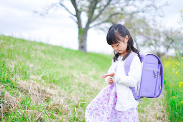 登校中にお花畑で遊ぶ小さな女の子