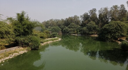 Sanjay lake reflecting trees in the background