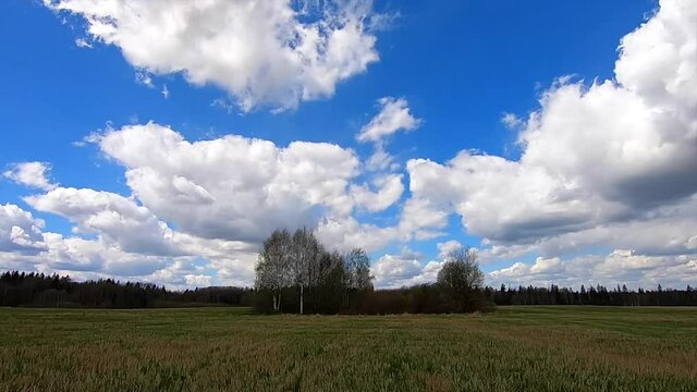 Timelapse moves beautiful white clouds across the blue sky against the background of a colorful green forest. Beautiful panorama of untouched nature on a bright sunny day.