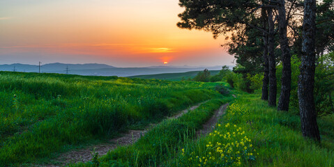 Fototapeta na wymiar Colorful sunset over green fields