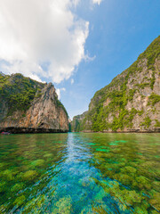 Take a long-tailed boat to Phi Phi Island